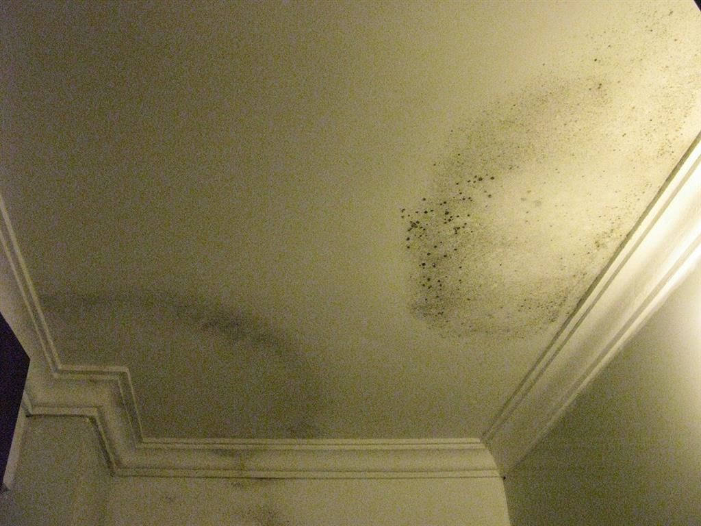 Trần nhà bị thấm dột nước phải làm sao?