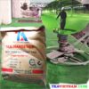 Bột tăng cứng bề mặt bê tông màu xanh