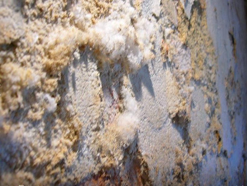 Chống thấm tường bị sùi muối trắng